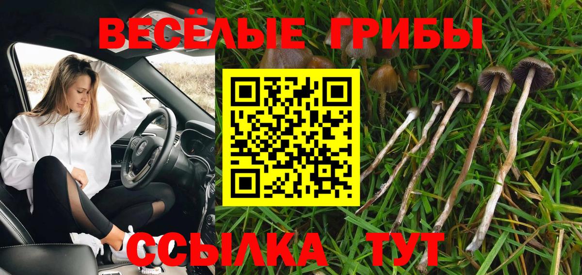 Галлюциногенные грибы мицелий Грозный