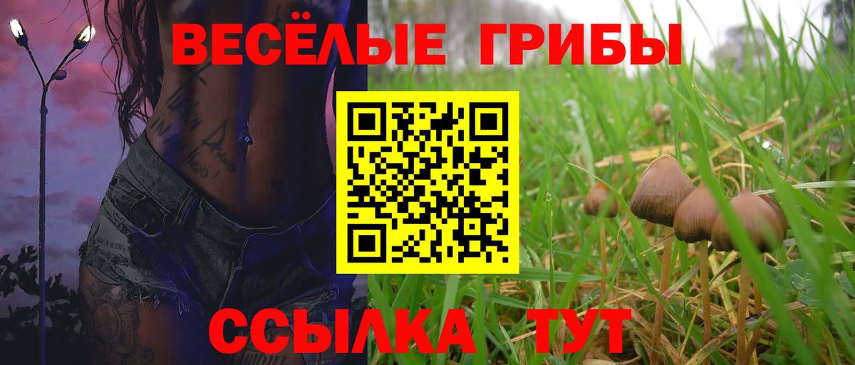 Галлюциногенные грибы прущие грибы  Вход с VPN  Грозный 